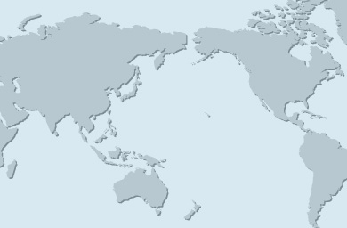 Global Manufacturing Network